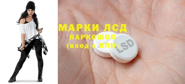 шишки Горно-Алтайск