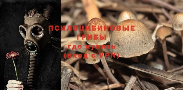 мяу мяу мука Балахна