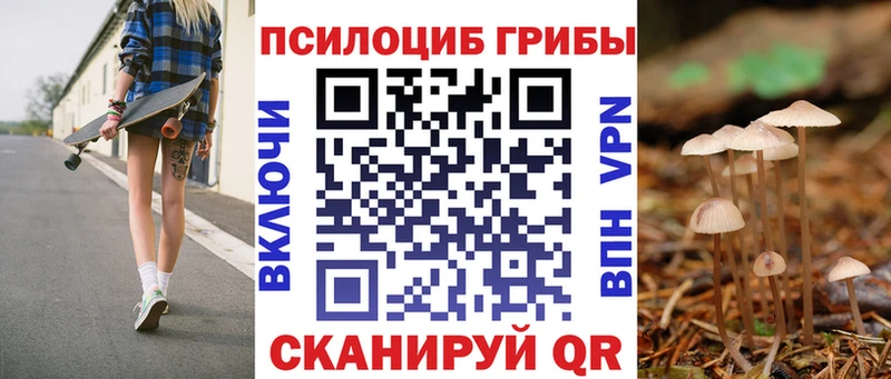 Галлюциногенные грибы Psilocybe хочу наркоту Краснокаменск